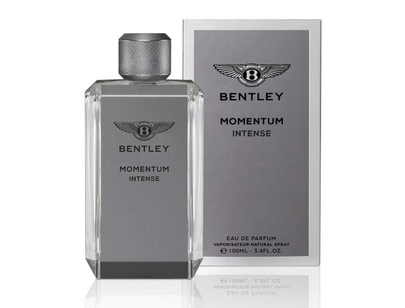 Bentley Momentum 3