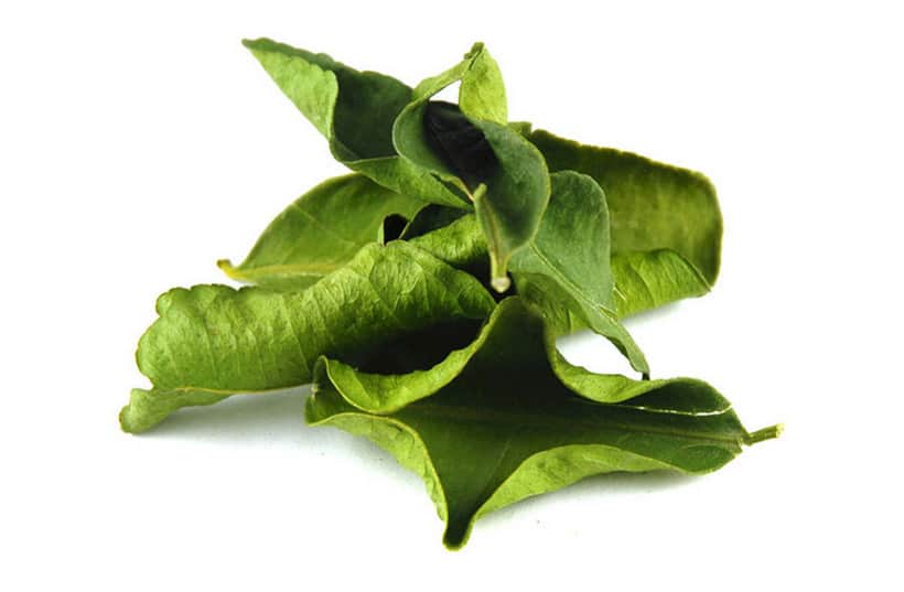 Dried Kaffir Lime Leaves