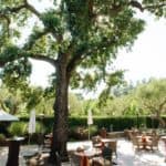 Hotel Yountville 7