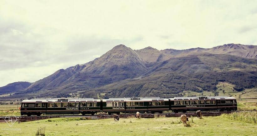 Machu Picchu Train 3