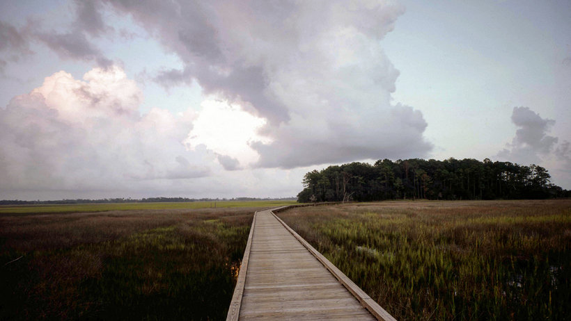 Ben Affleck Hampton Island Preserve 11