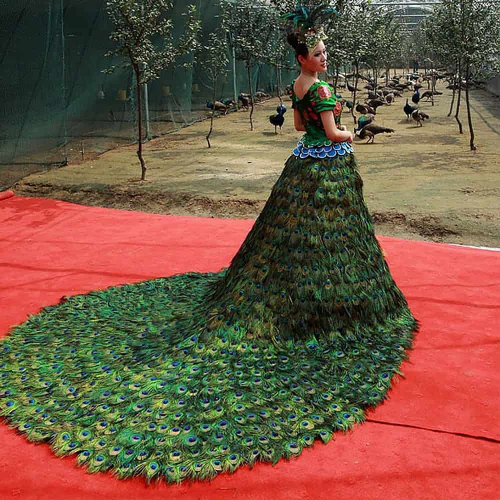 Peacock Wedding Dress