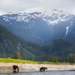 Great Bear Rainforest 3