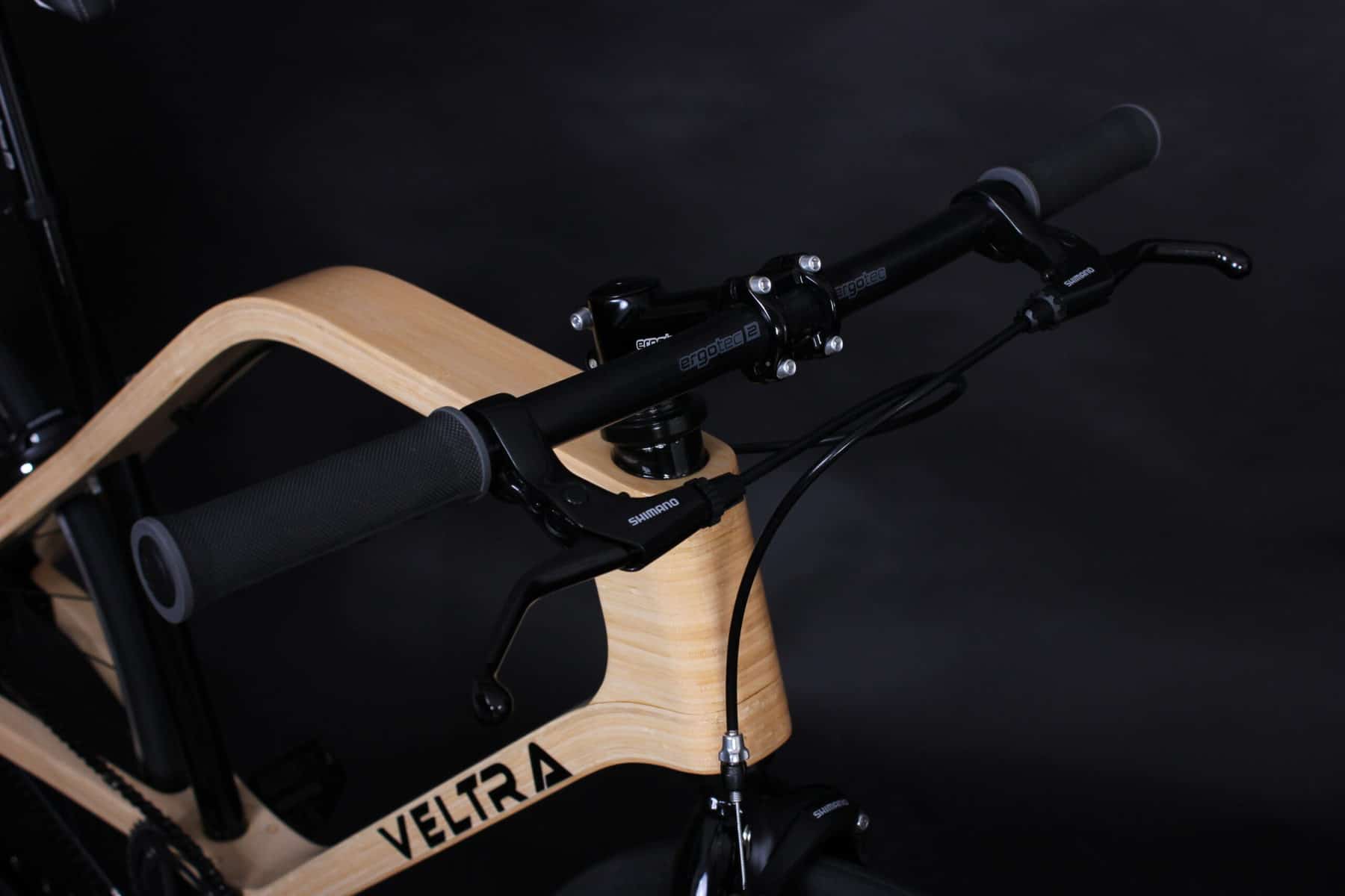 Veltra bamboo bike 8