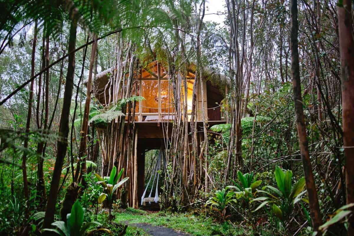 Dreamy Tropical Treehouse Hawaii 1