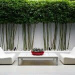 minimalist outdoor living area