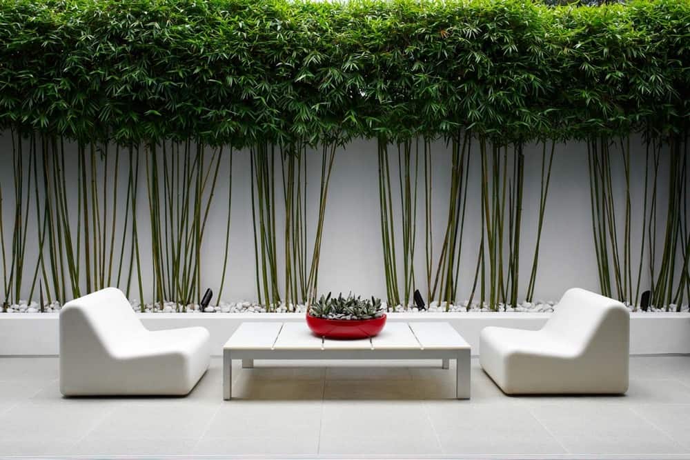 minimalist outdoor living area
