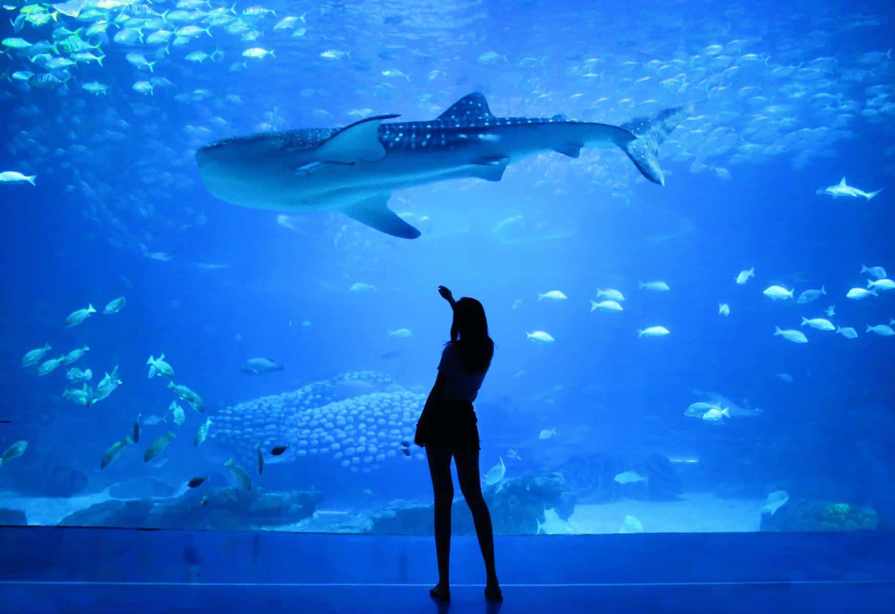 largest aquariums in the world
