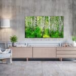 LG Gallery Design G1 Smart OLED evo 4K TV
