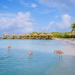 Best Resorts in Aruba