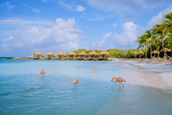 Best Resorts in Aruba