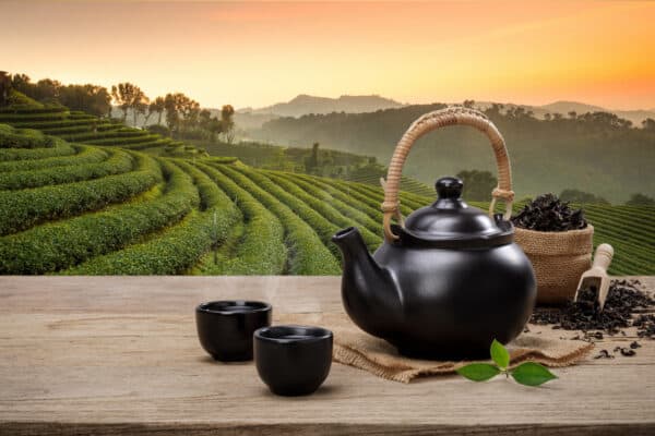 The 13 Most Expensive Teas in the World