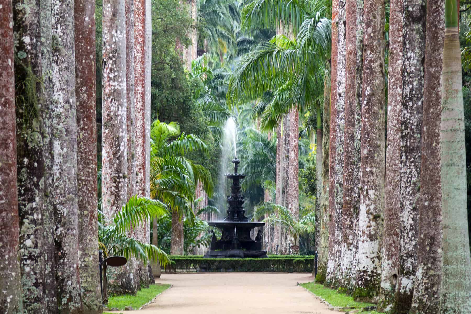 Jardim Botanico Do Rio de Janeiro